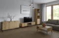 meble-scandi-w-aranżacji-salonu