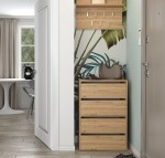 uchylna-szafka-na-buty-artisan