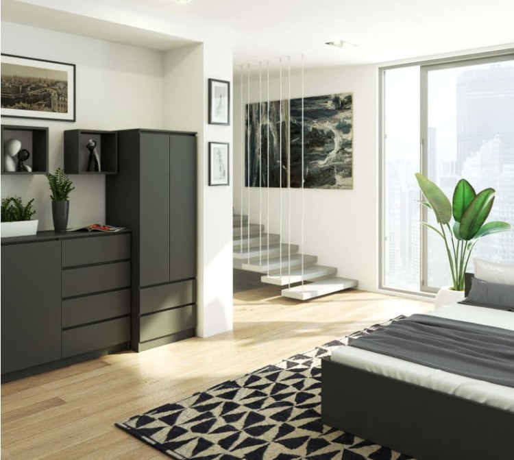 szafa-w-aranżacji-salonu