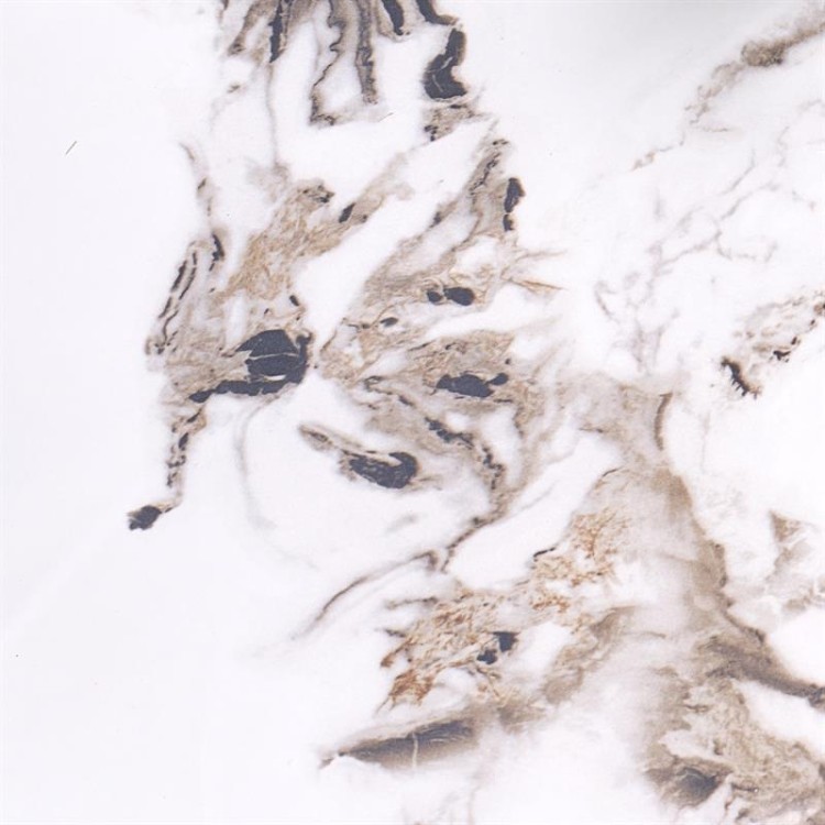 blat-imitujący-marmur