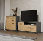 Niska szafka pod telewizor loft