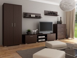 Meble do salonu wenge z szafą