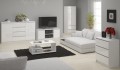 Meble-do-salonu-biały-połysk